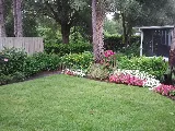Tri-S Pest Control photo 4
