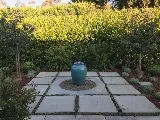 Organic Greens Landscapes & Maintenance photo 8