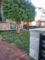 Before The Worm Landscaping photo 8