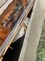 Beeman Pest Solutions photo 8