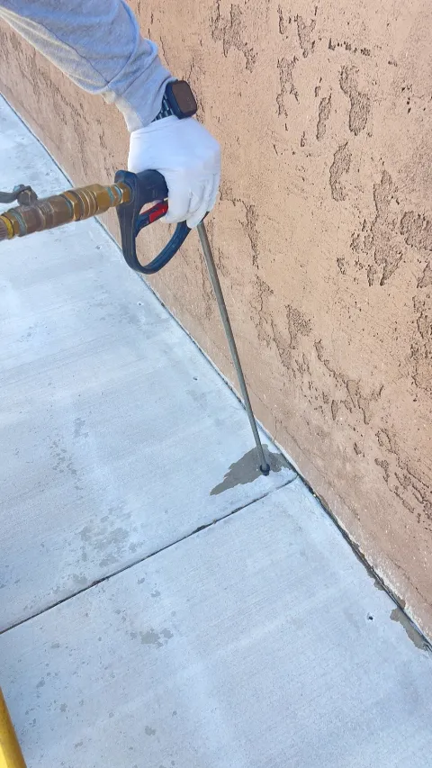 T2 Pest Services photo 1