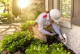 Orkin Canada Pest Control photo 2