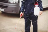 Superior Spring Hill Pest Control photo 5
