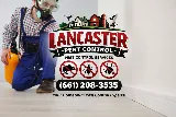 Lancaster Pest Control Pest Control Services