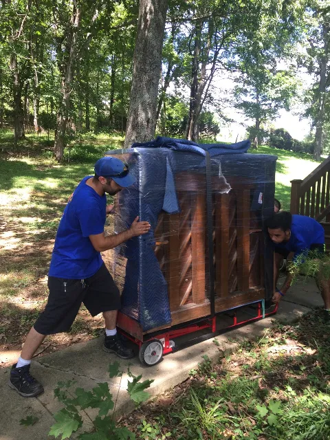 Marigold Movers photo 1
