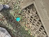 A Plus Pest Control photo 8