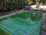 Gray's Pools photo 5