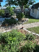Empire Lawn Care photo 5
