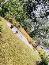Thorn Lawn & Sod Contractors, LLC. photo 7