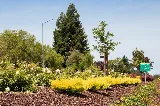 New Image Landscape Company photo 3