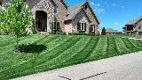 Oasis Lawncare, LLC photo 2