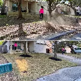 Toro Lawn Care & Landscaping, LLC photo 7