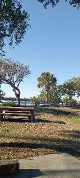A1A POOLS photo 4