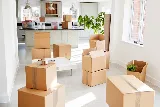 Lets Move