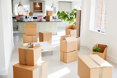 Lets Move photo 1