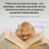 Affordable Pest Control Service photo 5