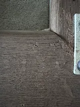 Allied Flooring Services, Inc./AAA Flooring Company photo 3