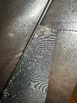 Eco Bed Bug Exterminators Baltimore photo 5