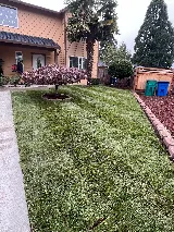 M&M Landscaping LLC photo 5