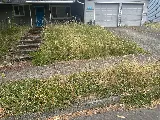 Family Landscaping LLC photo 4