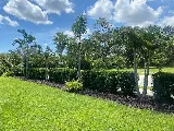 Newscape Lawn care and Landscaping LLC photo 7