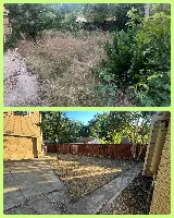 Vargas Landscape & Sprinklers photo 10