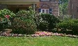 TITAN LANDSCAPE AND TREE SERVICES LLC photo 4