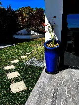 Infinite Sky Landscape Design photo 3