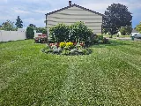 Trimline Landscape Management photo 6