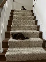 Top Floors photo 7