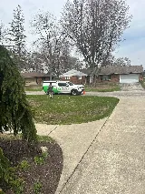 Greenix Pest Control photo 7
