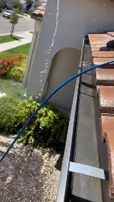 Dowd Solar Netting and Cleaning photo 7