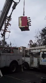 Transworld Electric photo 5