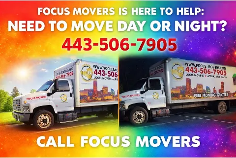 Focus Movers Relocation Service photo 1