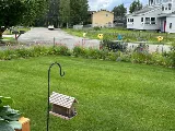 Midnight Sun Mowing photo 4