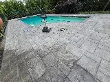 Fredy Landscaping and Masonry LLC photo 8