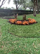 Total Maintenance Landscaping photo 3