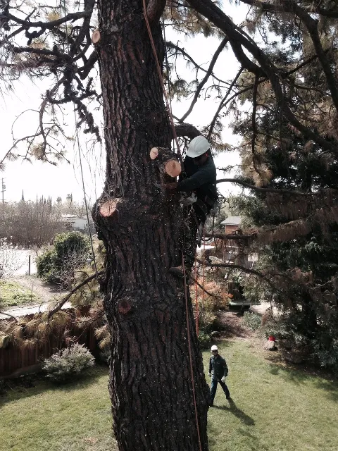 Grover Landscape Services Inc in Modesto