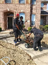 Arlington Apartment Movers | Reliant Residential Moving Services photo 3