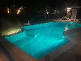 Swan Pools - Walnut Creek photo 3