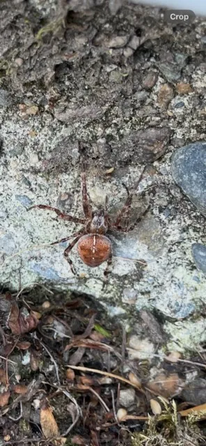 Prime Pest Solutions in Beaverton
