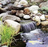 Valley Oak Landscaping photo 7