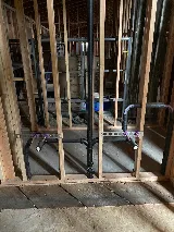 Plumb Zebra photo 8