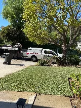 DAMIAN .LANDSCAPING photo 7