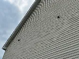 Alford Pest Control photo 4