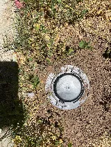 EcoGuard Pest Control photo 8