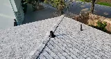 DC Roofing & Waterproofing Systems