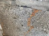 Dunlap Termite and Pest Control photo 3