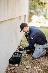 PCI Pest Control of Tacoma photo 3