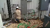 Amp Electric photo 5